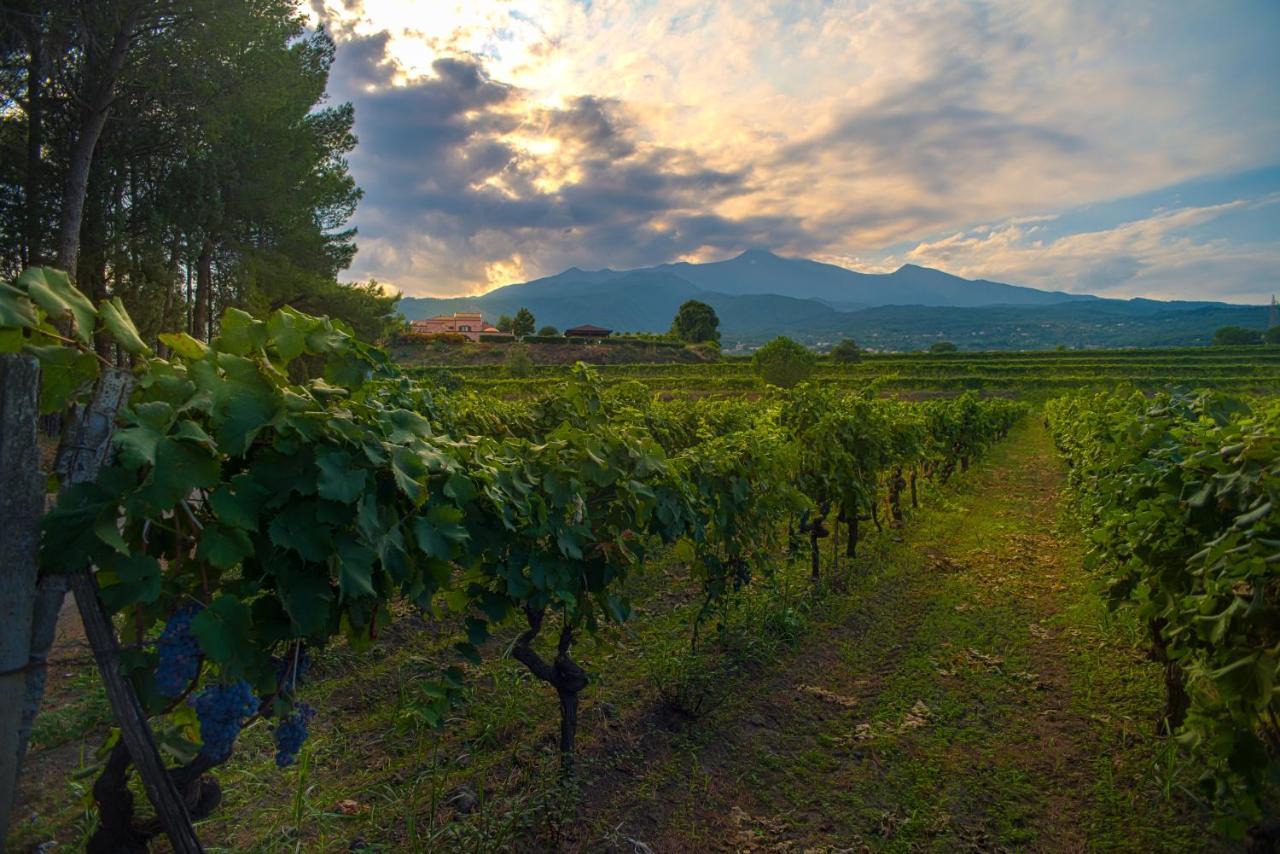 Agriturismo Tenuta San Michele Santa Venerina Bagian luar foto