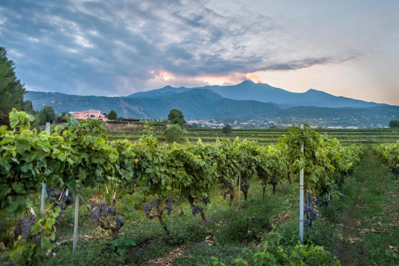 Agriturismo Tenuta San Michele Santa Venerina Bagian luar foto